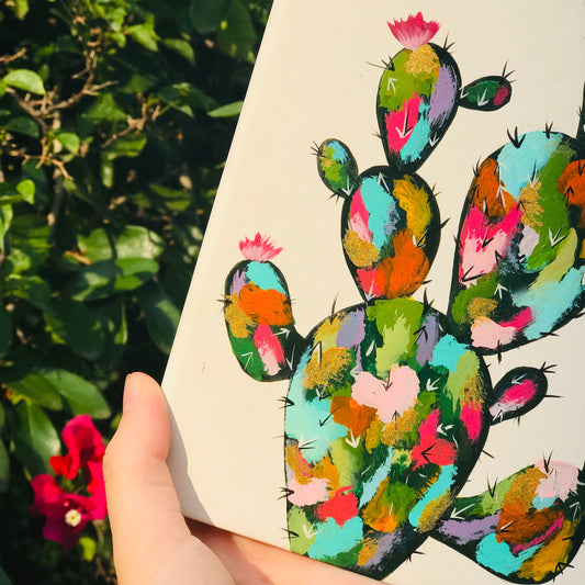 Cactus colorido